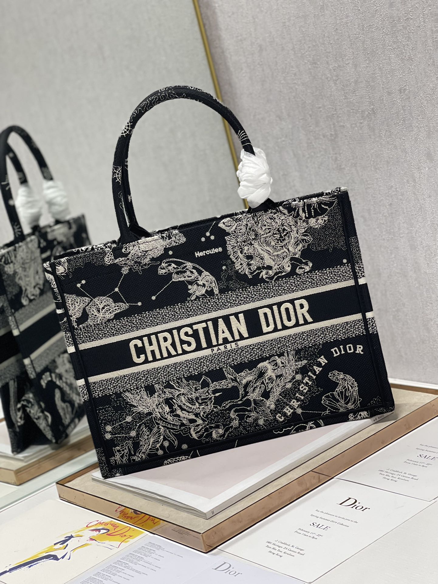 Dior 36cm Book Tote Latte Toile de Jouy Zodiac Embroidery Black