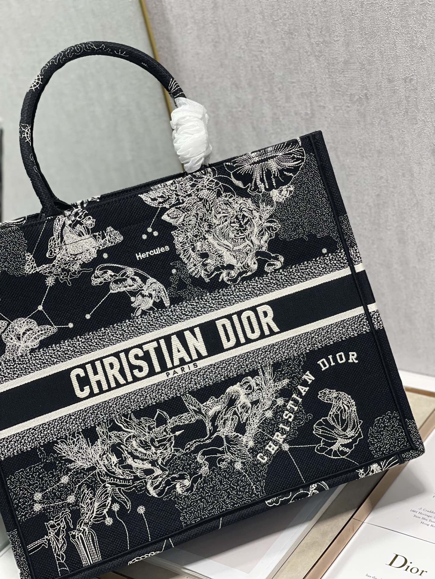 Dior 41cm Book Tote Latte Toile de Jouy Zodiac Embroidery Black