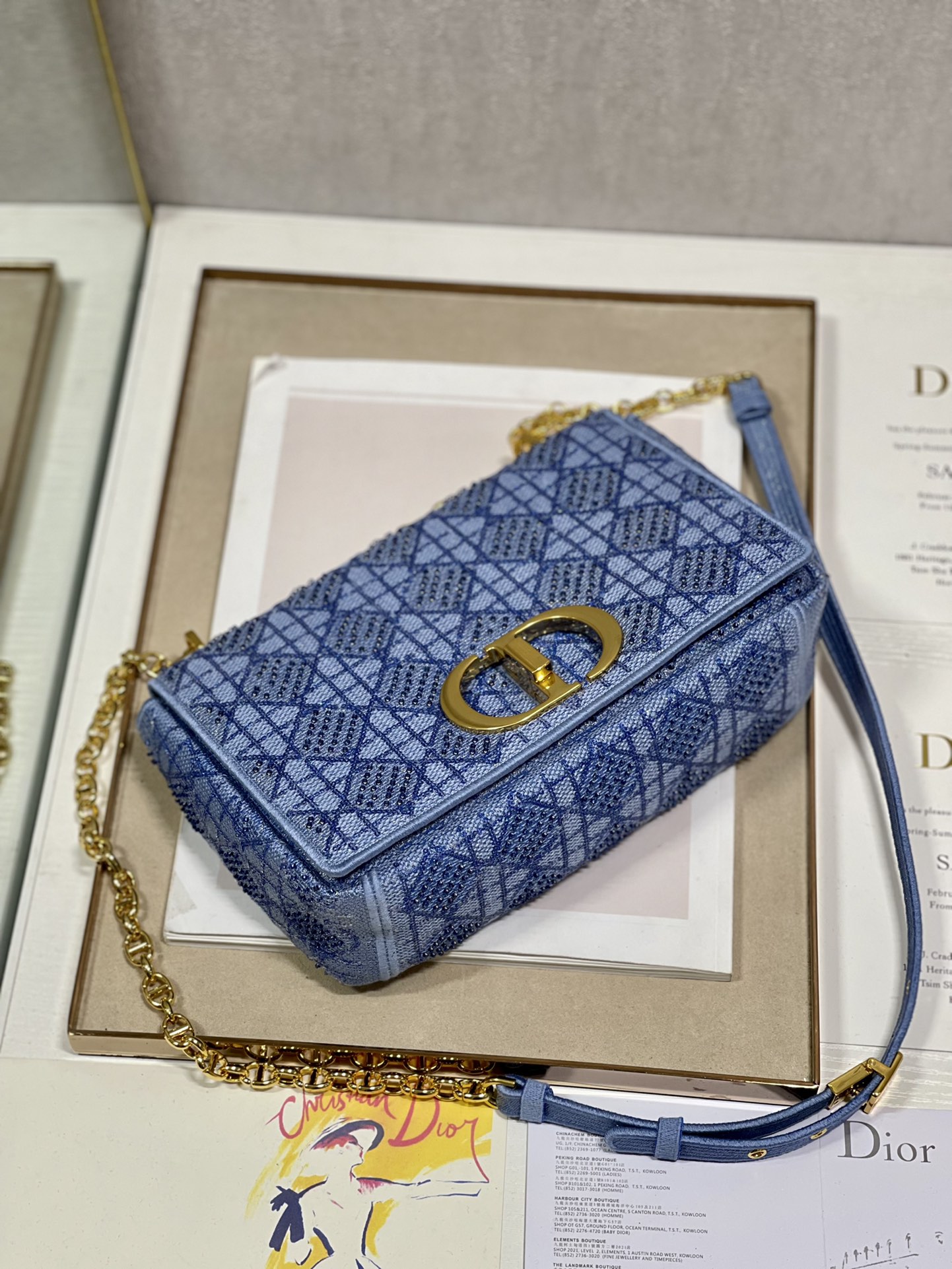 Dior Caro Bag Macrocannage Tweed Embroidery Blue