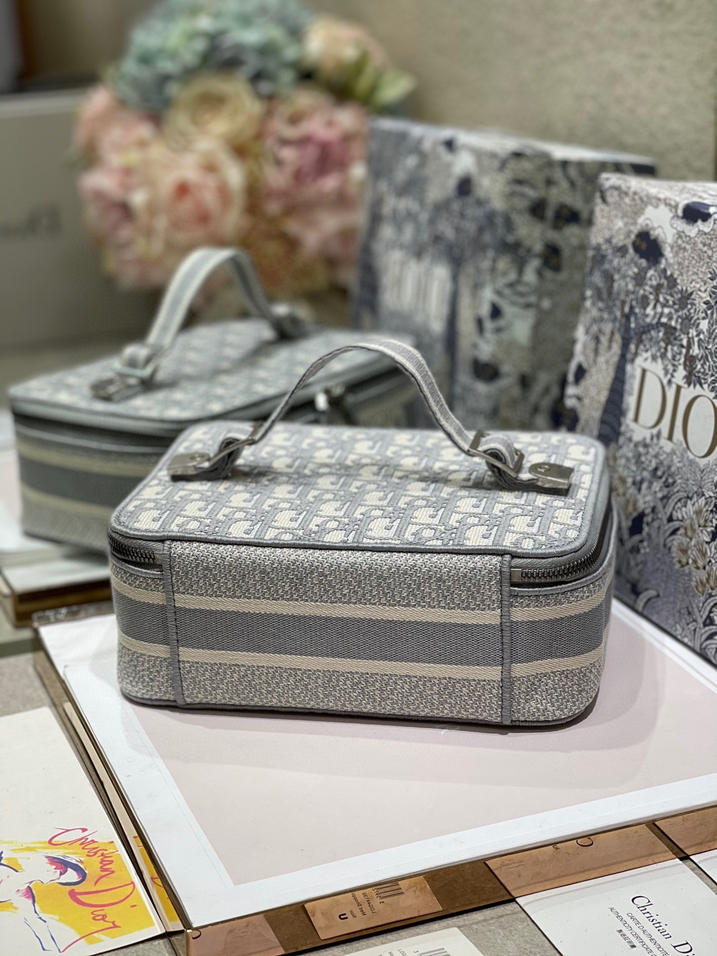 Dior DiorTravel Box Case Gray Embroidery