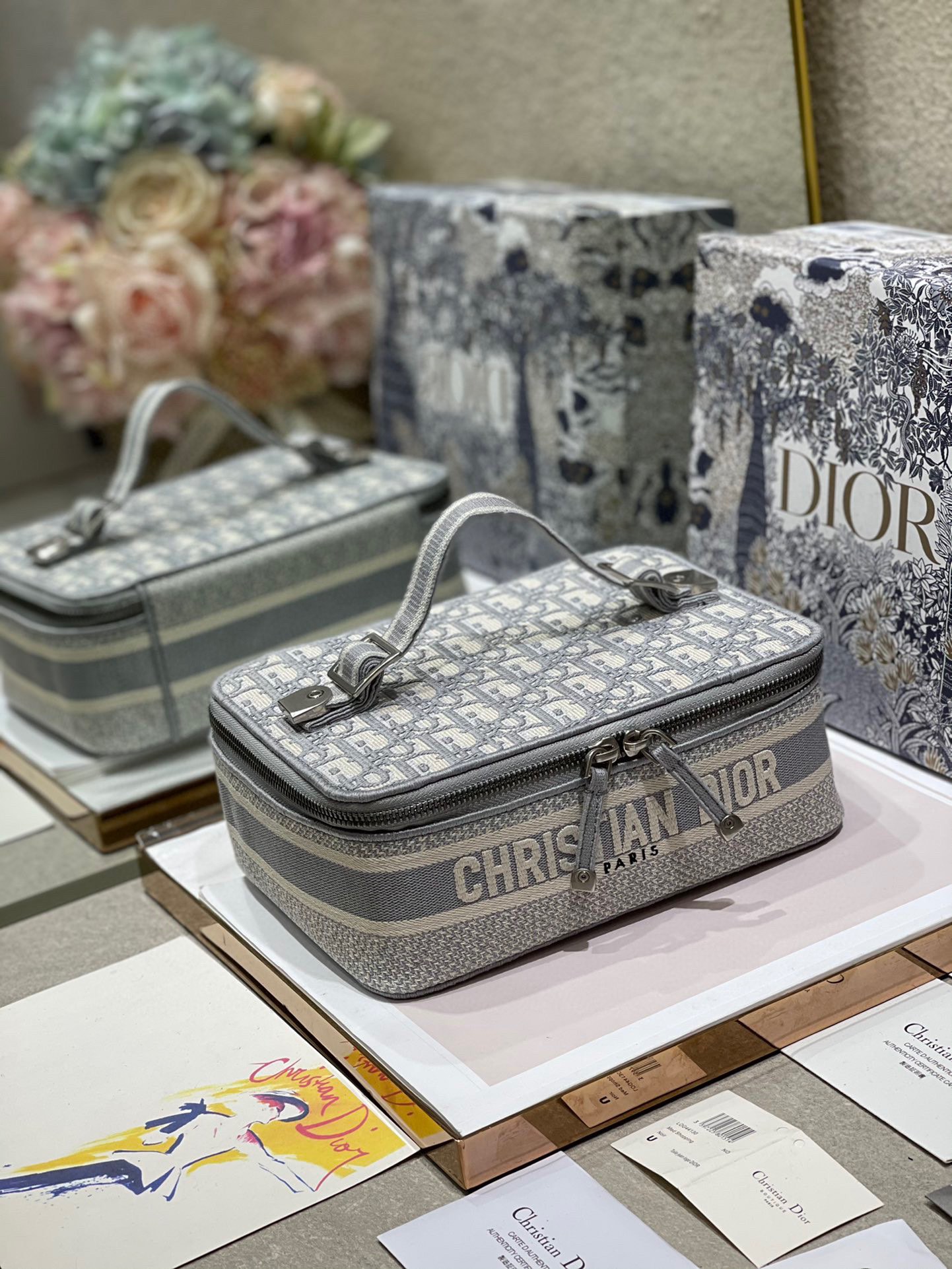 Dior DiorTravel Box Case Gray Embroidery