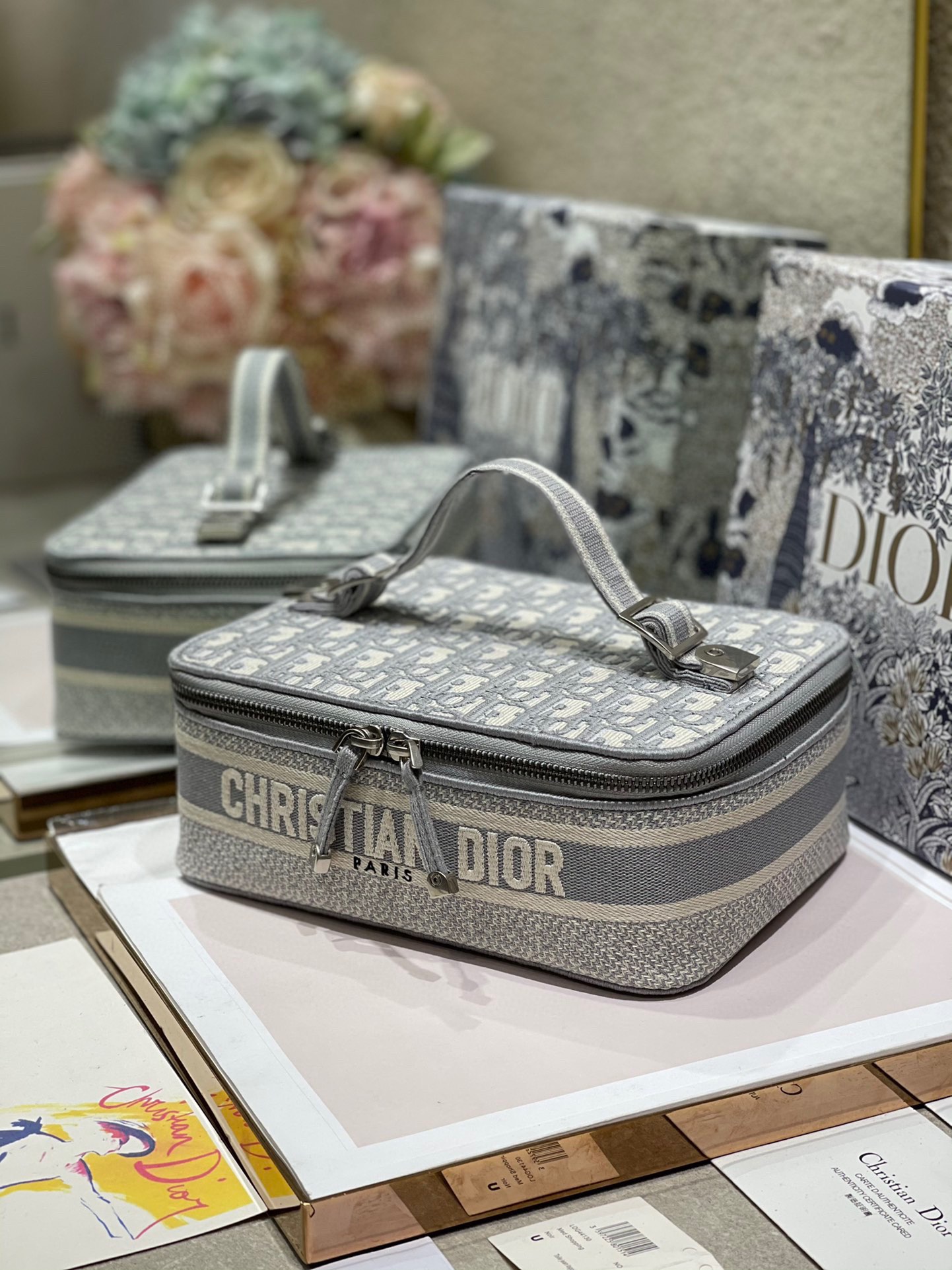 Dior DiorTravel Box Case Gray Embroidery