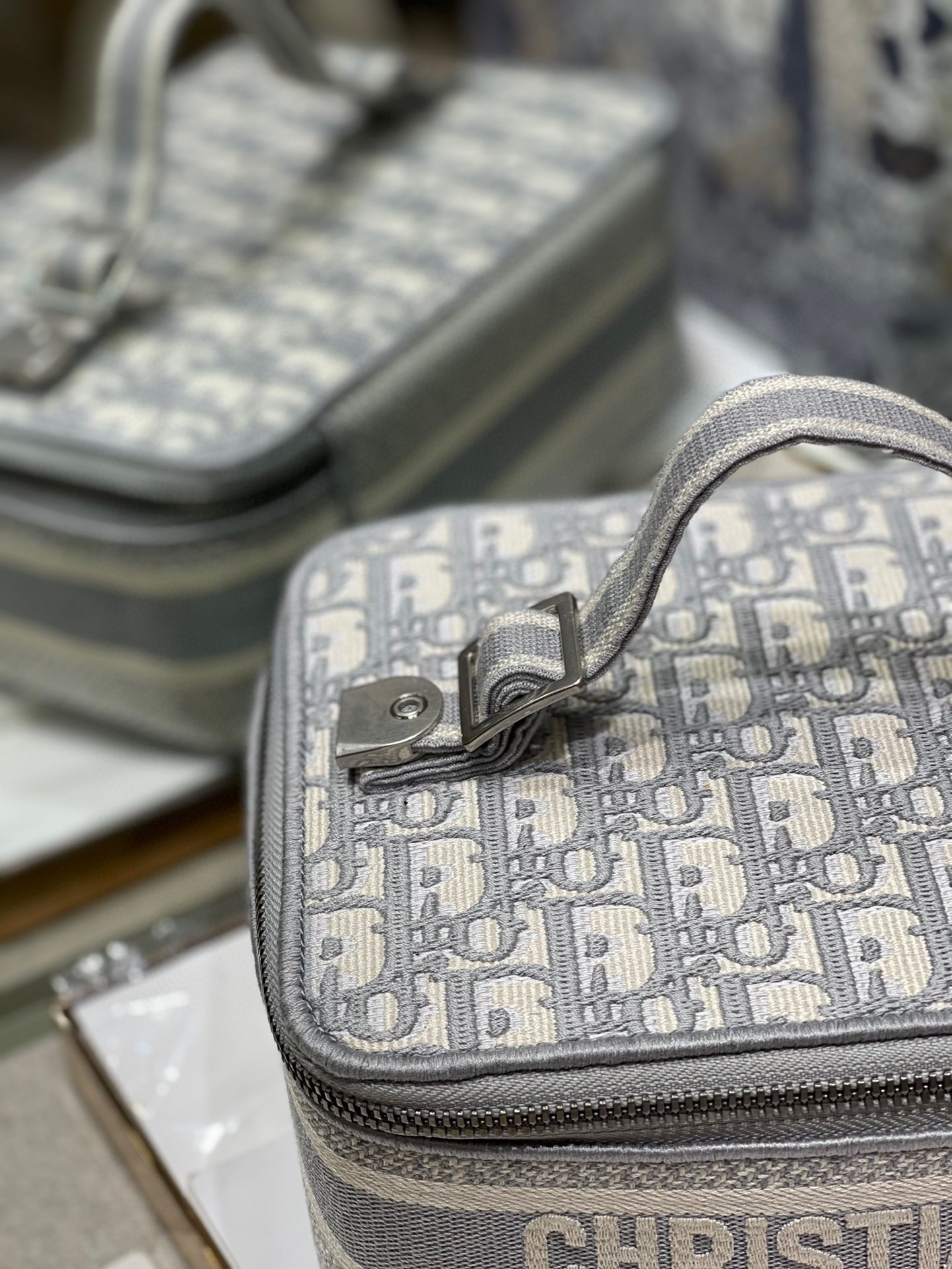 Dior DiorTravel Box Case Gray Embroidery