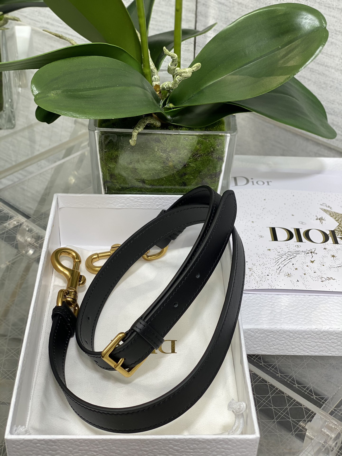 Dior Large Saddle Bag in Black Calfskin