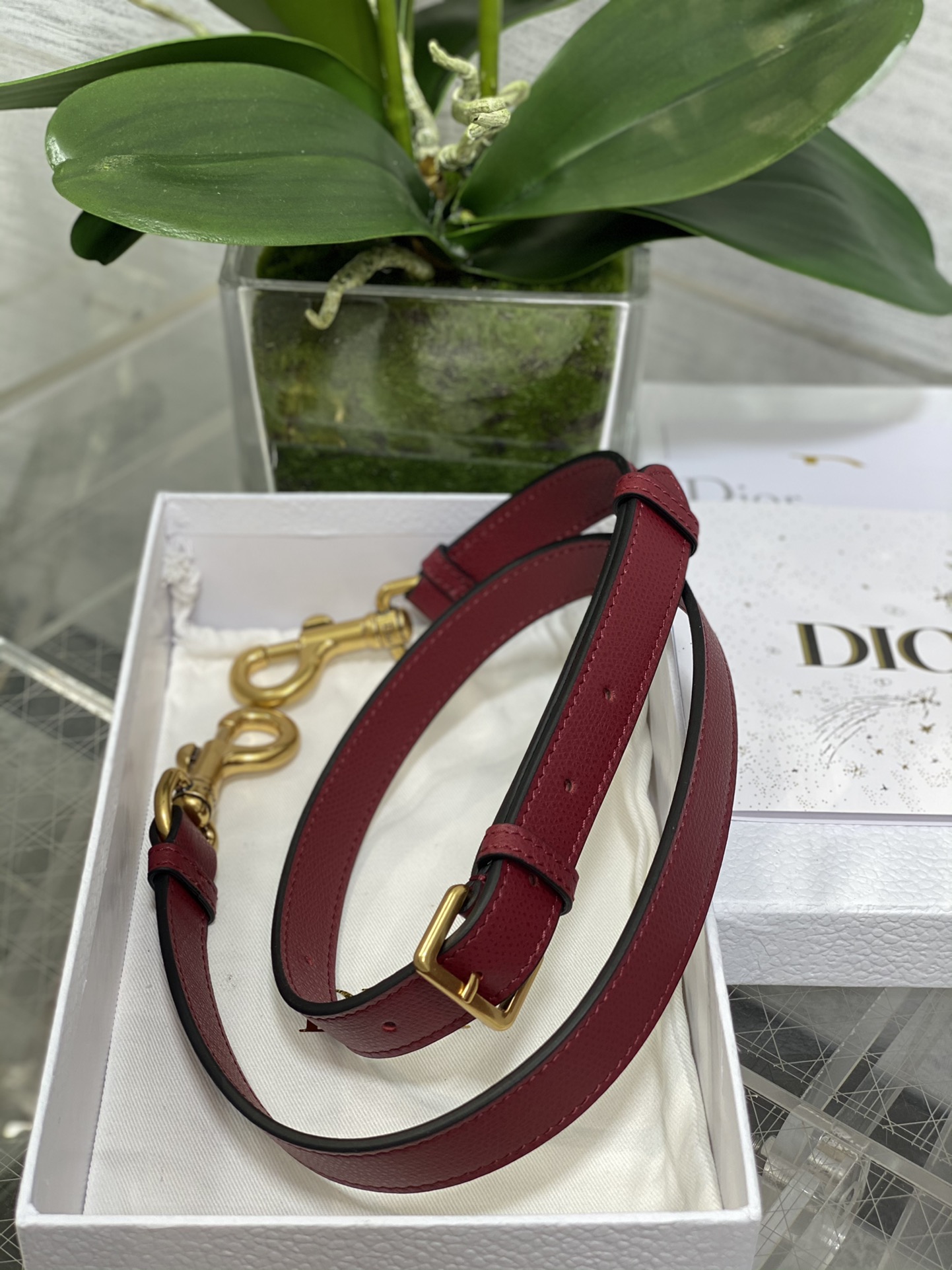 Dior Large Saddle Bag in Dark Red Calfskin