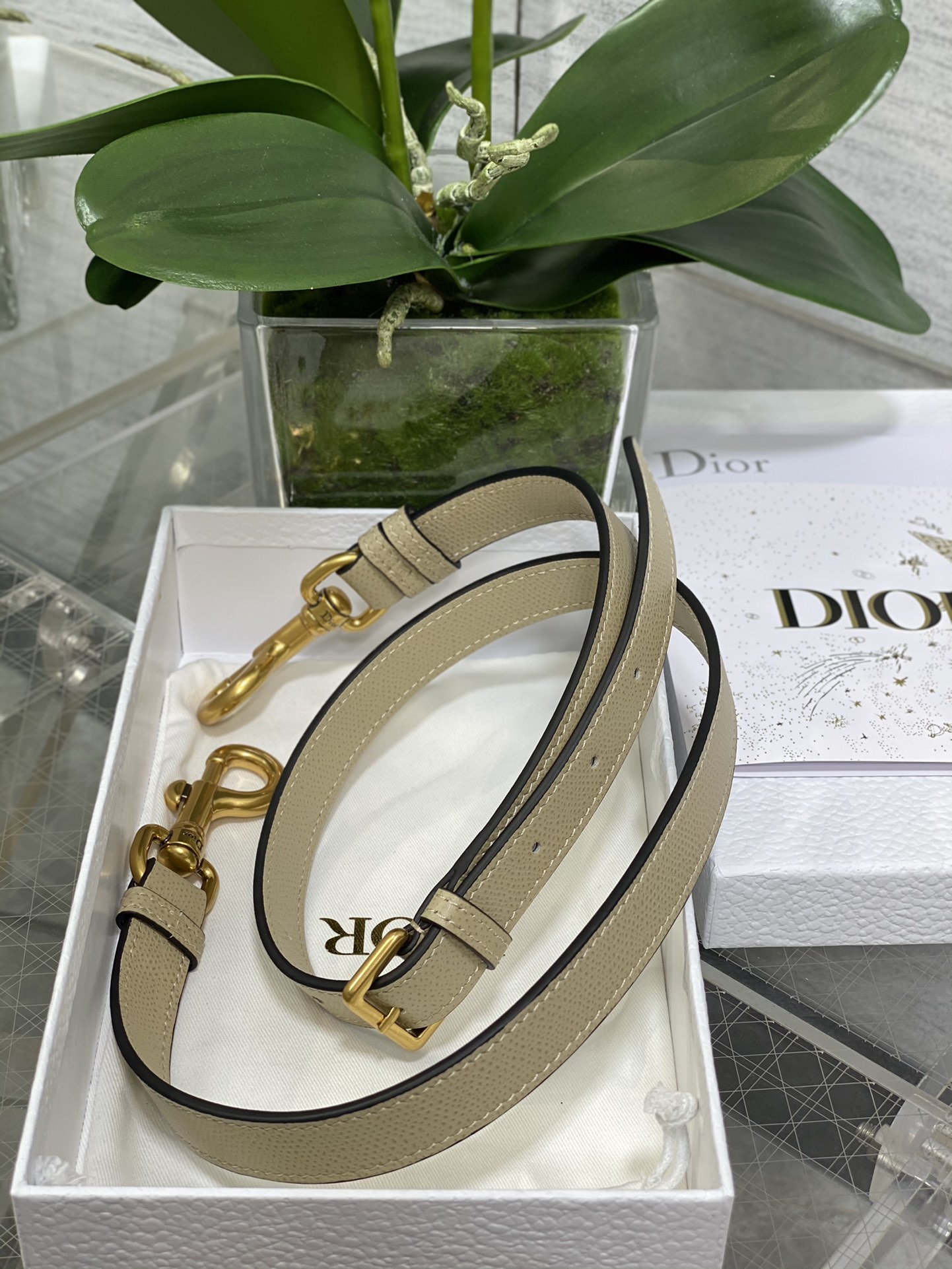 Dior Large Saddle Bag in Matcha Green Calfskin