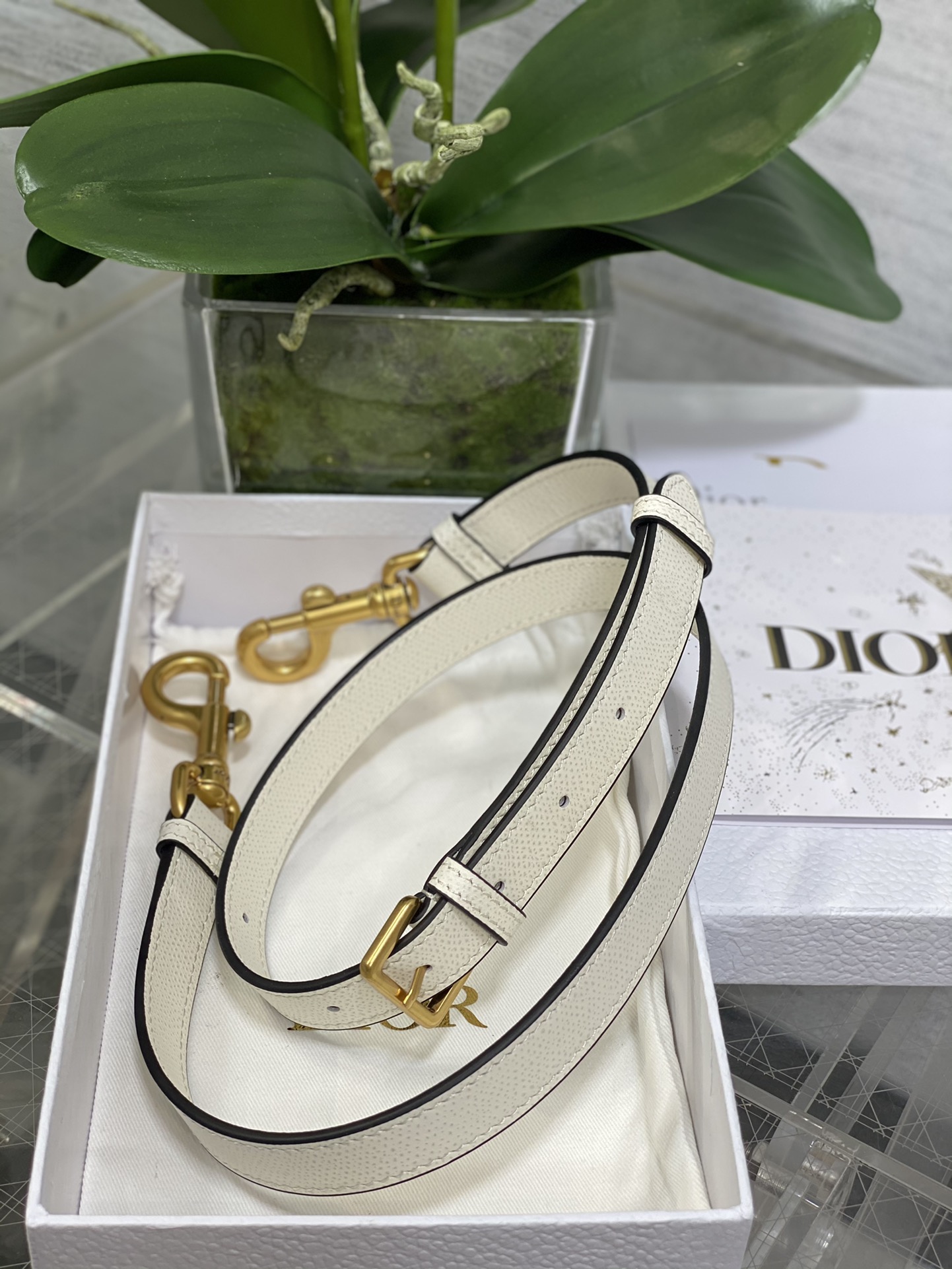 Dior Large Saddle Bag in White Calfskin