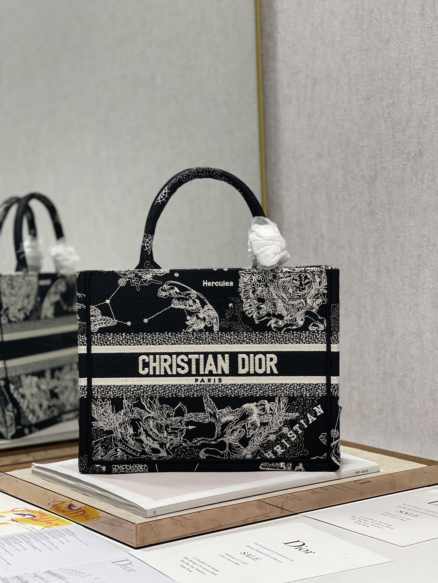 Dior Mini Book Tote Latte Toile de Jouy Zodiac Embroidery Black