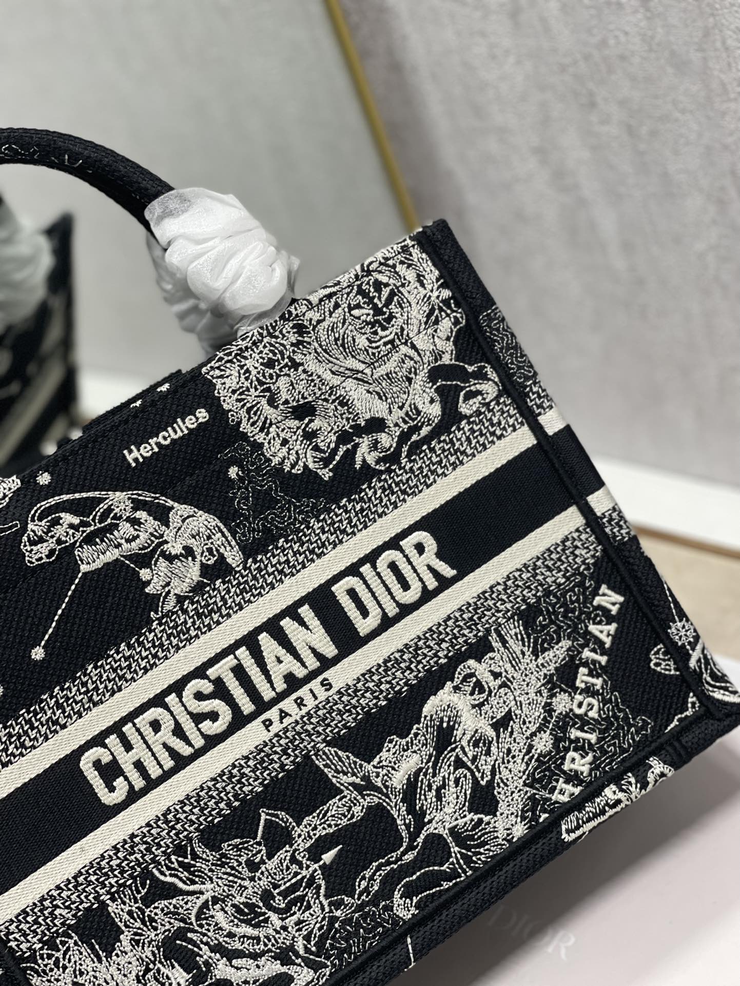 Dior Mini Book Tote Latte Toile de Jouy Zodiac Embroidery Black