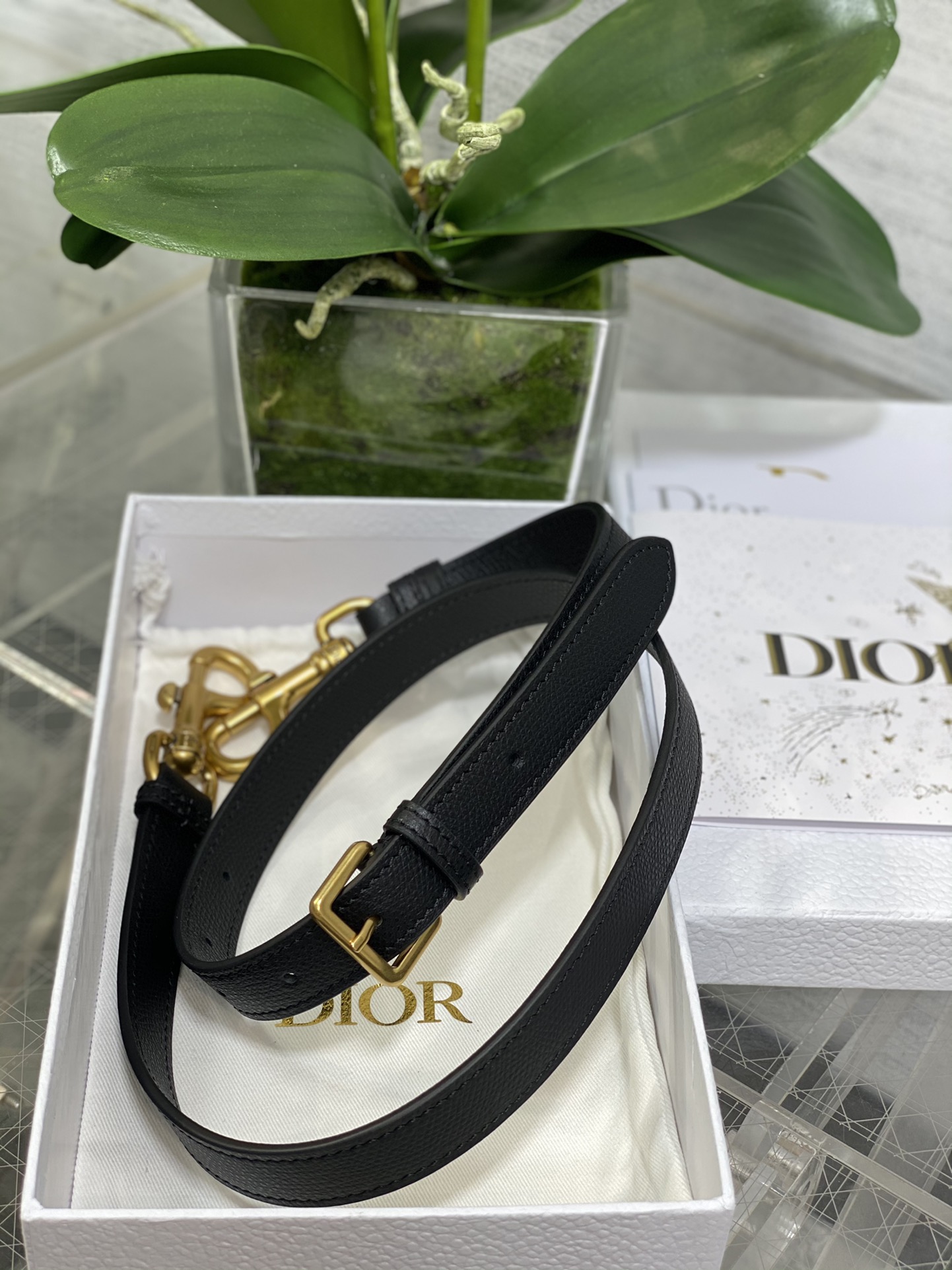 Dior Small Saddle Bag in Black-1 Calfskin