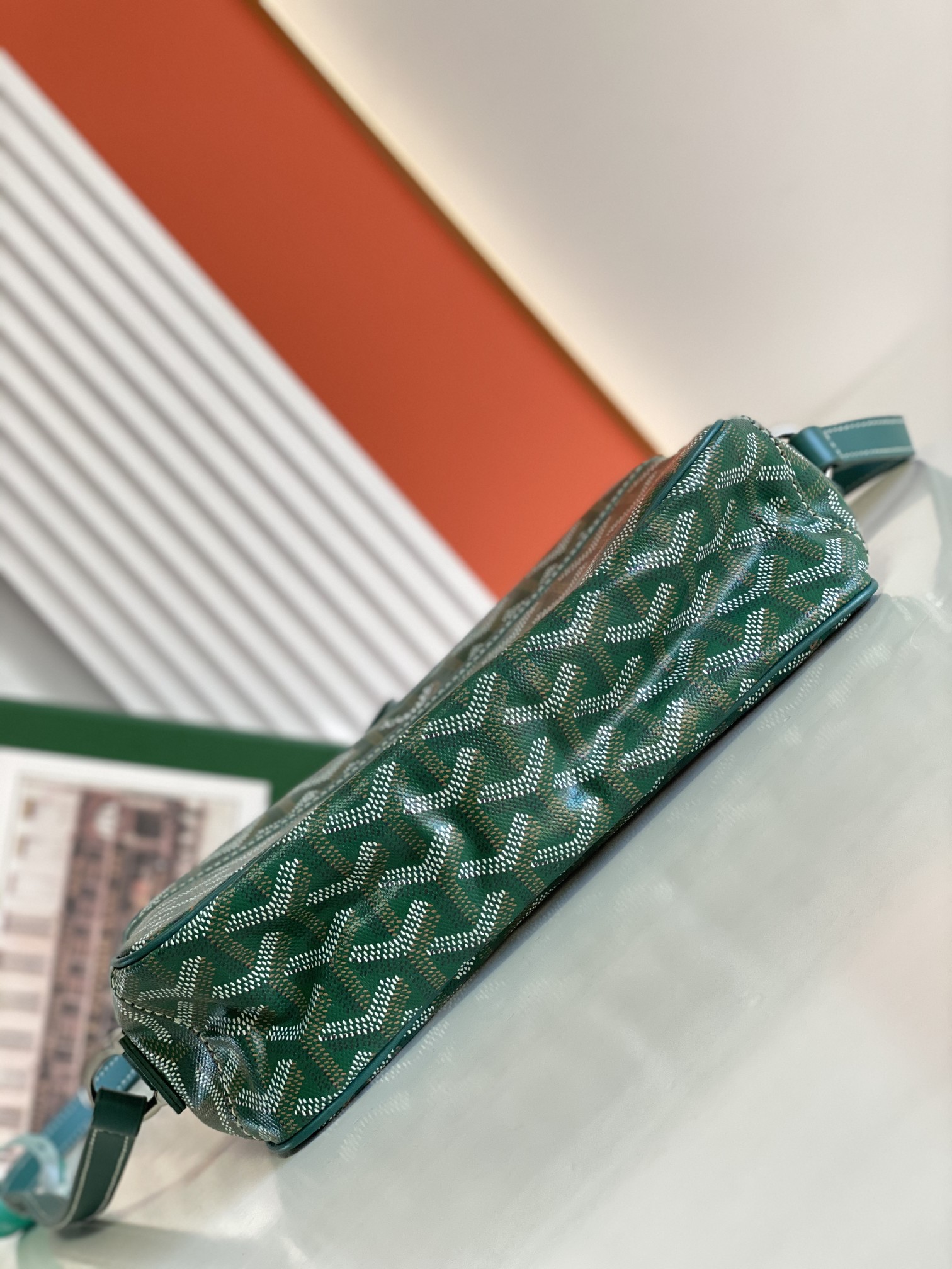 Goyard Cap-Vert PM Bag Canvas and Cervon Calfskin Green