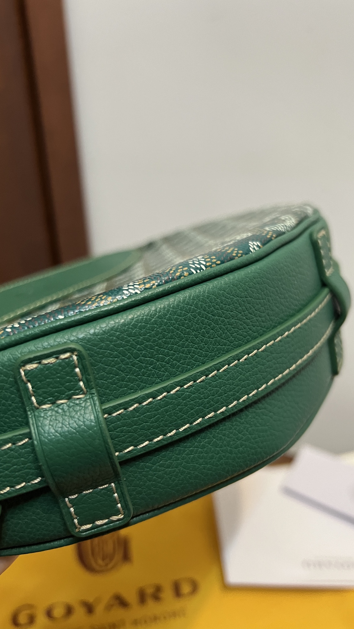 Goyard Hirondelle Bag Green