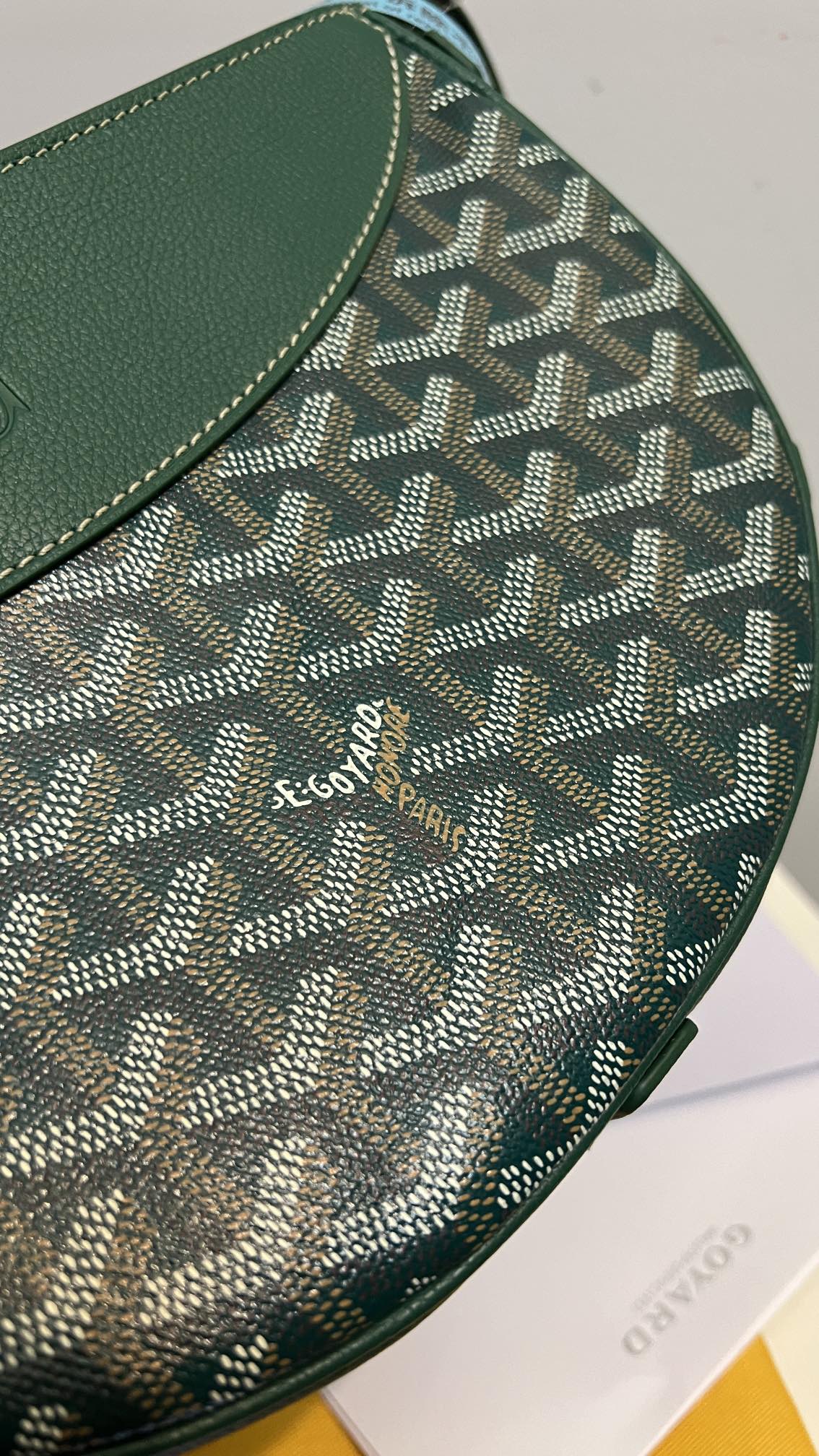 Goyard Hirondelle Bag Green