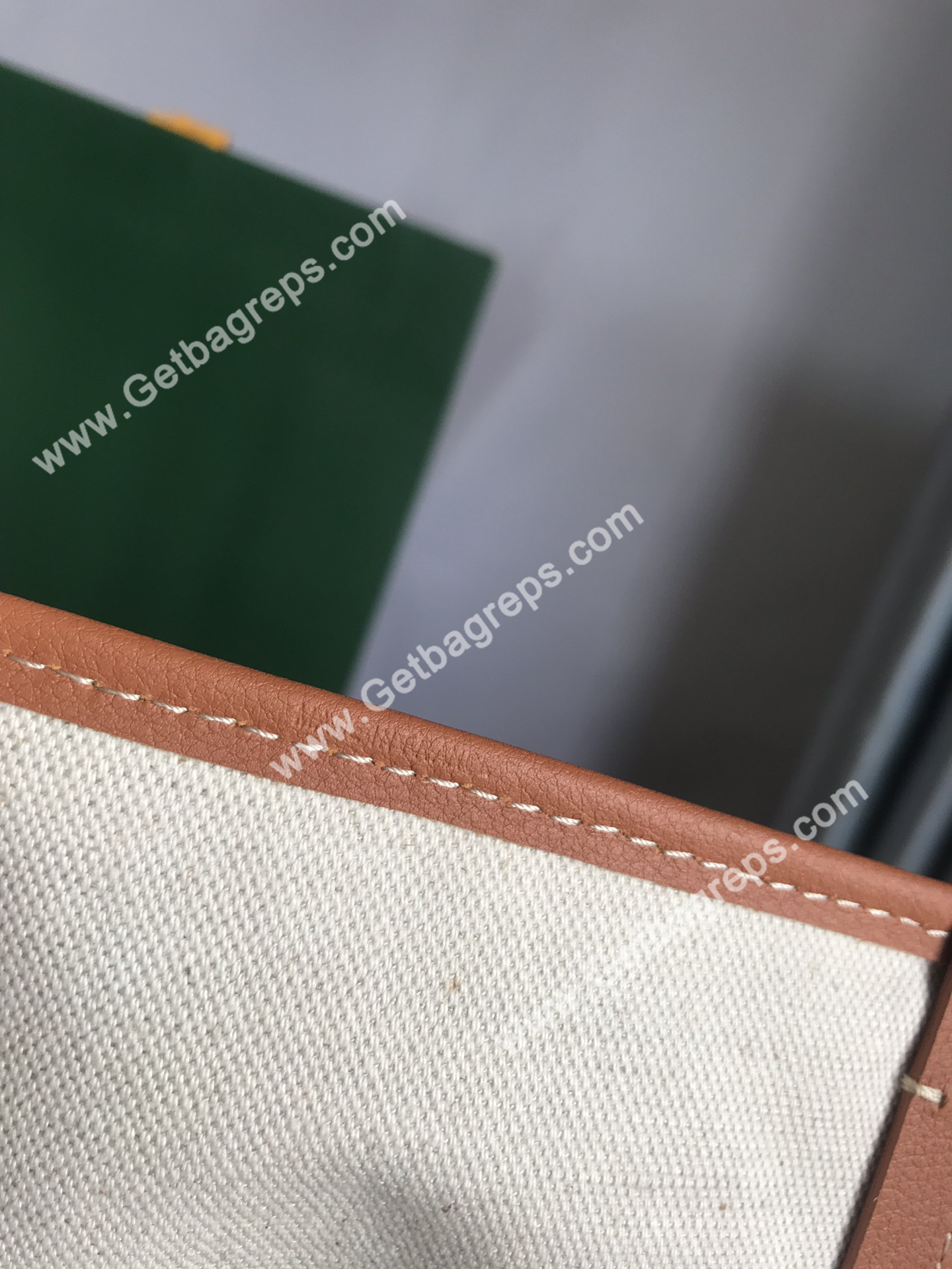Goyard Saint Louis PM Bag Black and Tan