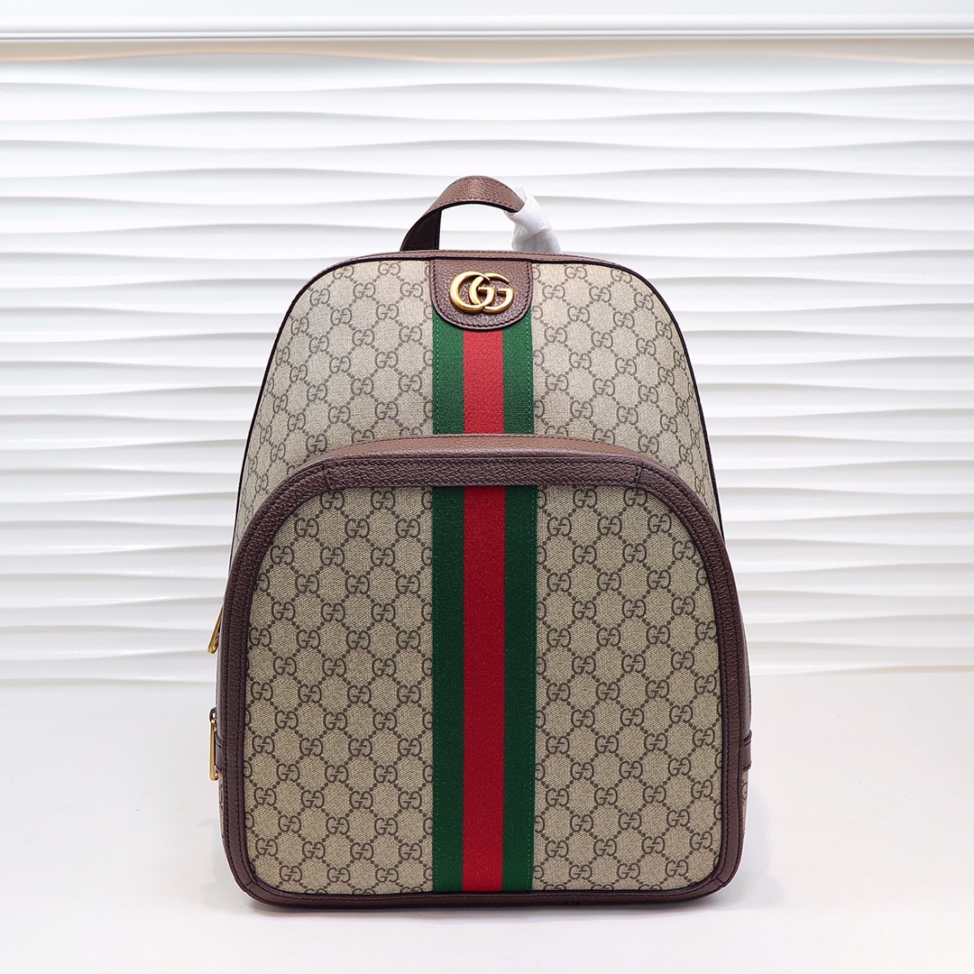 Gucci 620849 Men Backpack-3