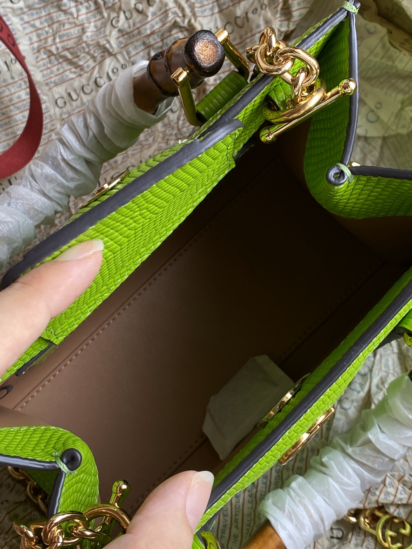 Gucci Diana Light Green lizard Mini Bag With Removable Chain Shoulder Strap