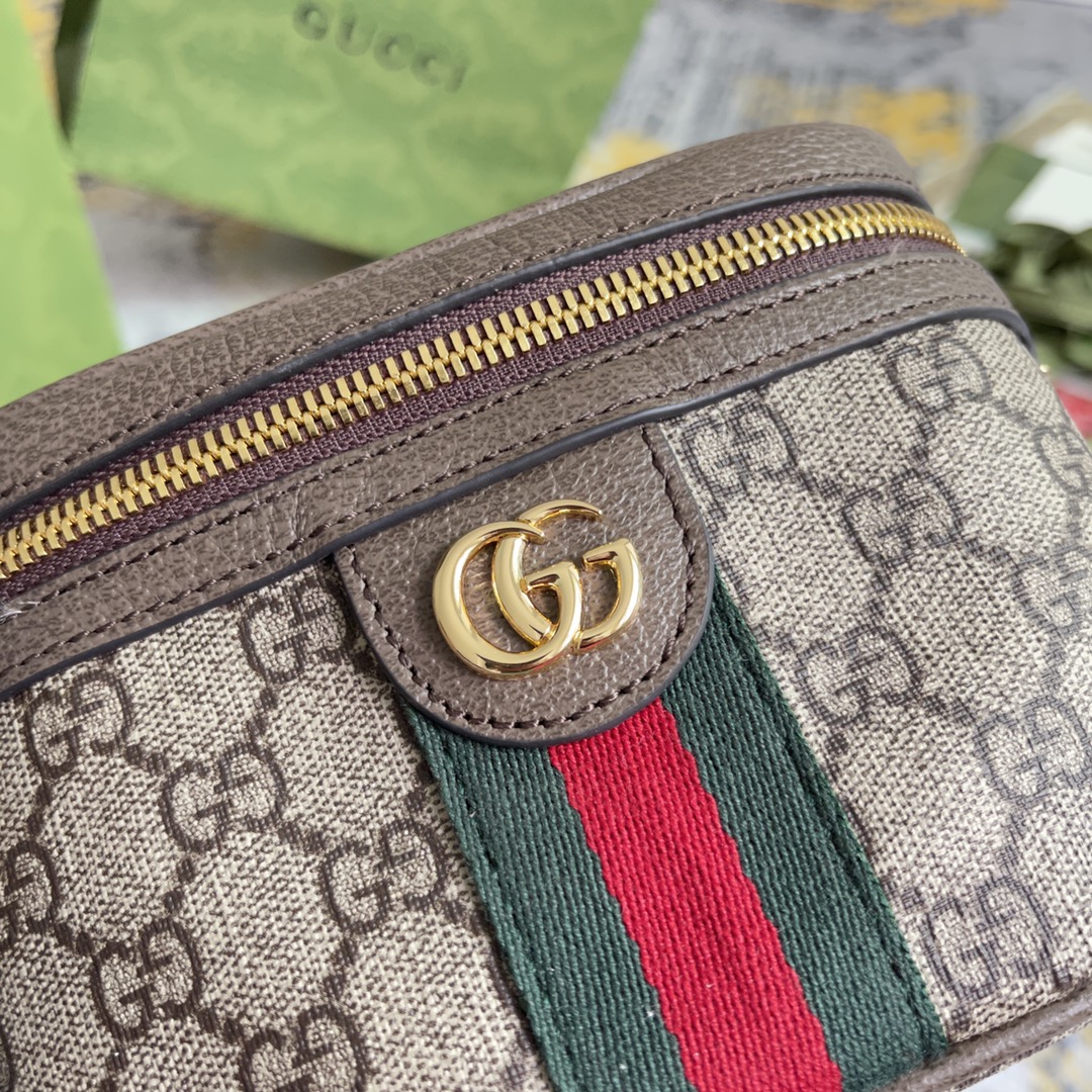 Gucci Ophidia belt bag with Web 699765