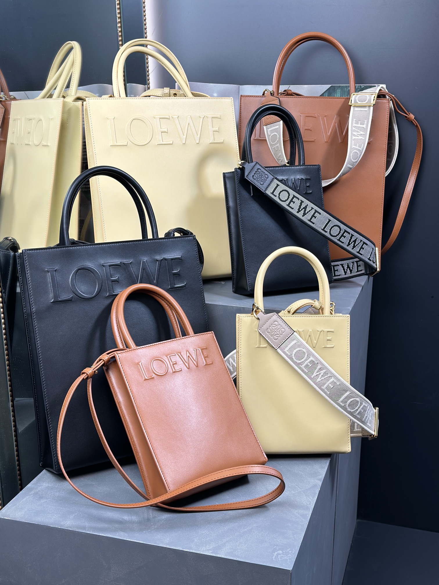 Loewe Standard A4 and A5 Tote in Sleek Calfskin