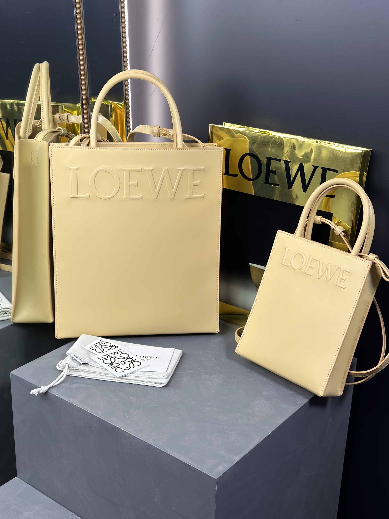 Loewe Standard A4 and A5 Tote in Sleek Calfskin