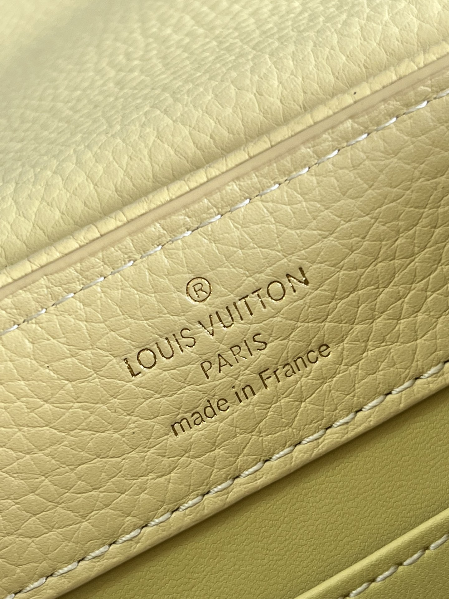 Louis Vuitton Capucines Mini Handbag Canvas Embroidery Yellow M59597