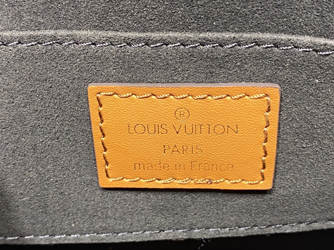 Louis Vuitton Dauphine Mini Monogram and Monogram Reverse Coated Canvas M45959