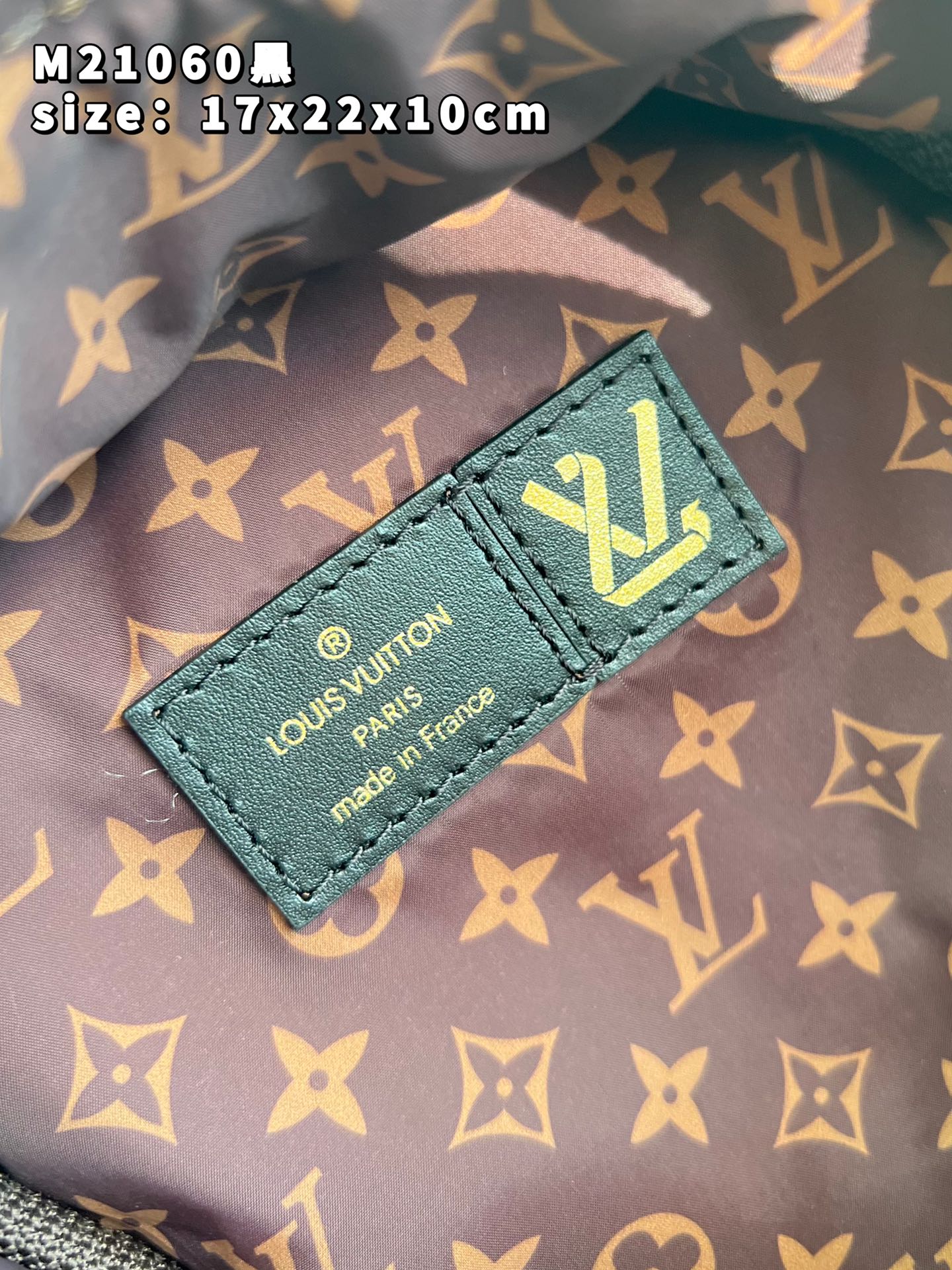 Louis Vuitton LV Pillow Palm Springs Mini Backpack Black