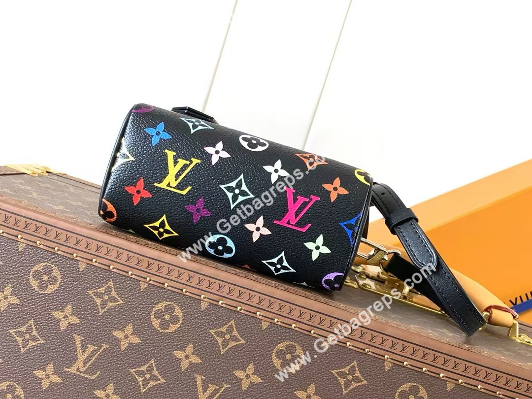 Louis Vuitton M13406 Nano Speedy Multicolored