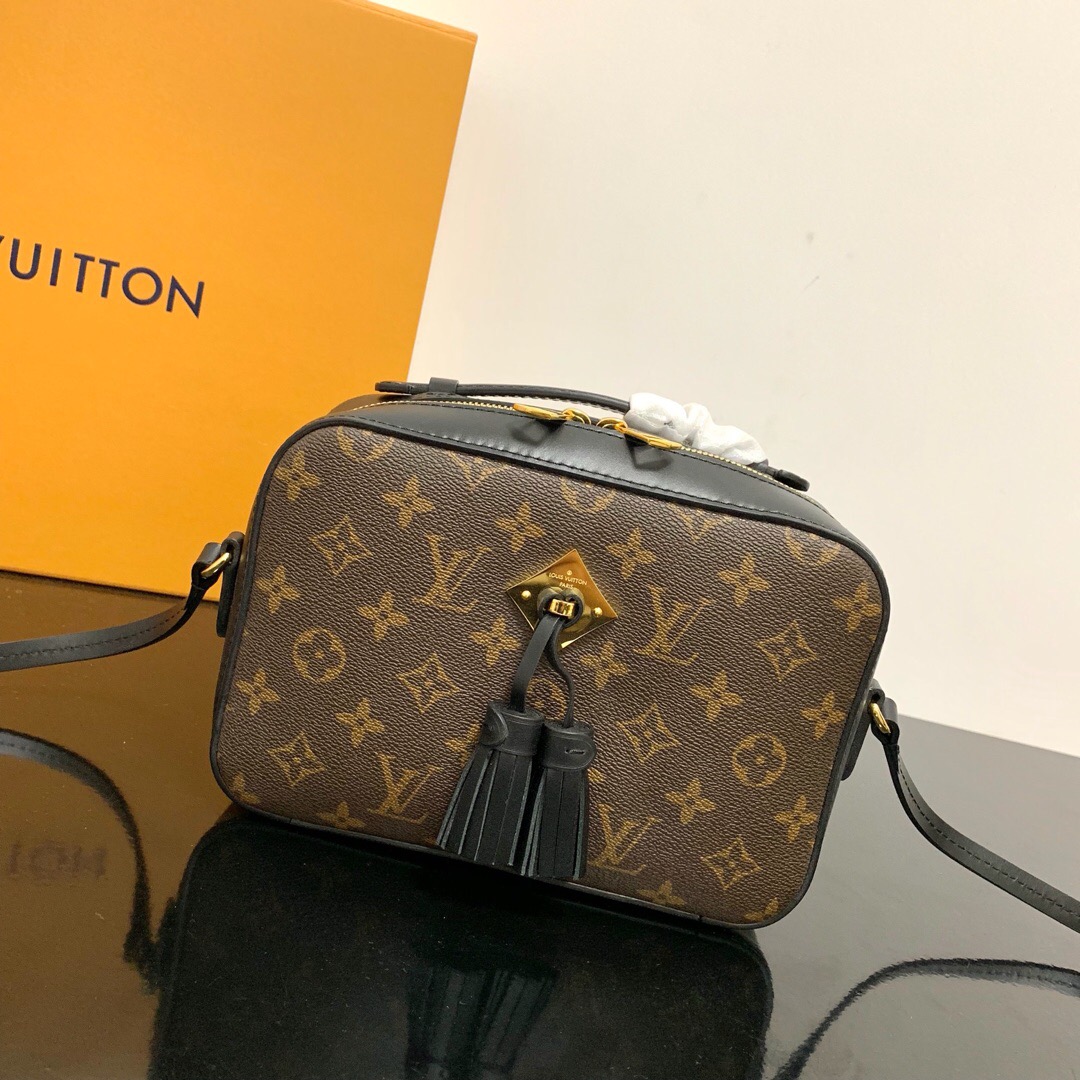 Louis Vuitton M43555 Saintonge Monogram Coated Canvas and Smooth Calfskin Leather