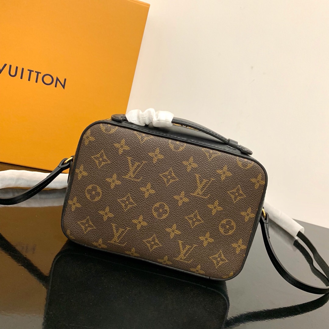 Louis Vuitton M43555 Saintonge Monogram Coated Canvas and Smooth Calfskin Leather