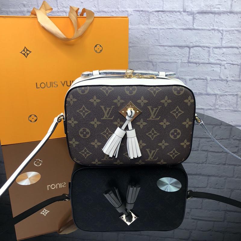 Louis Vuitton M43559 Saintonge Monogram Coated Canvas and Smooth Calfskin Leather White