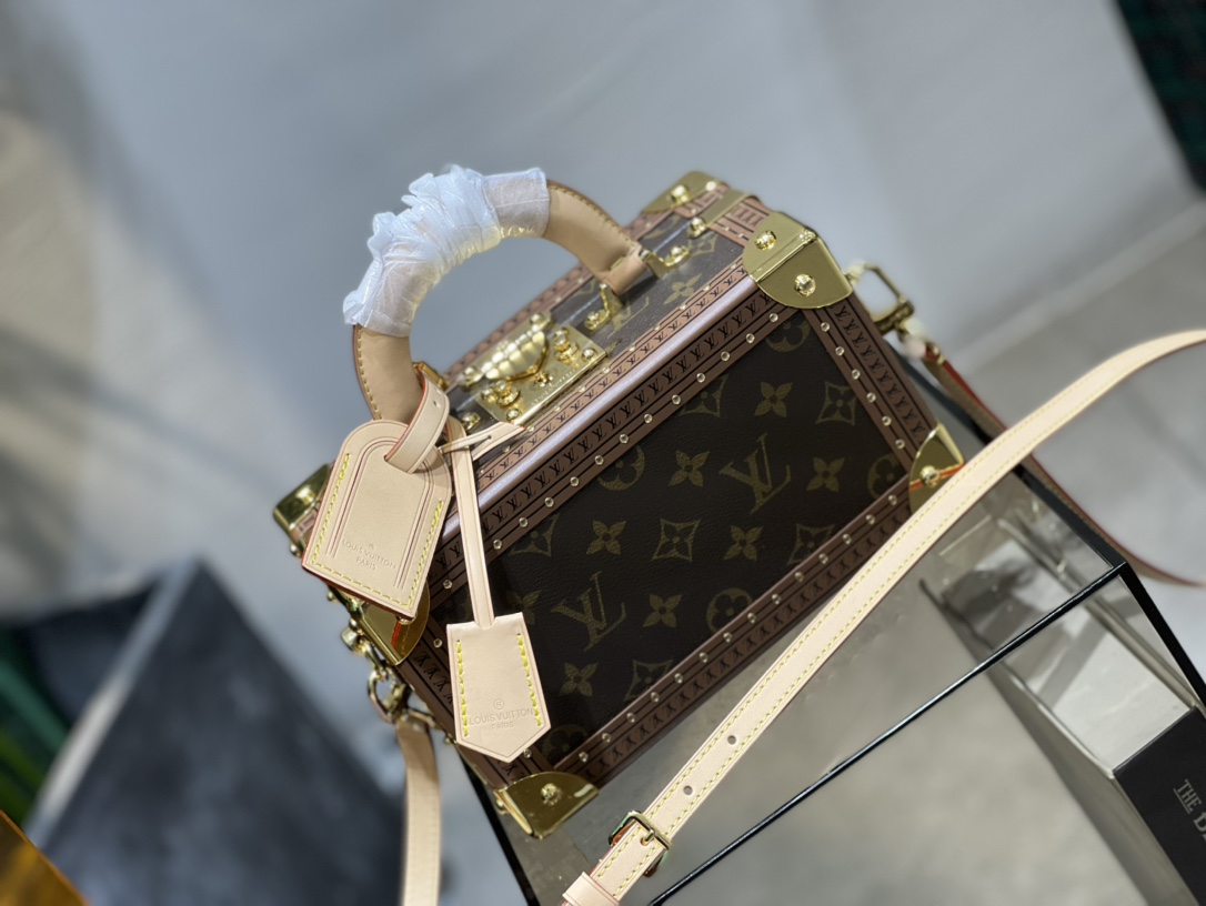 Louis Vuitton M45673 Valisette Tresor Monogram Coated Canvas