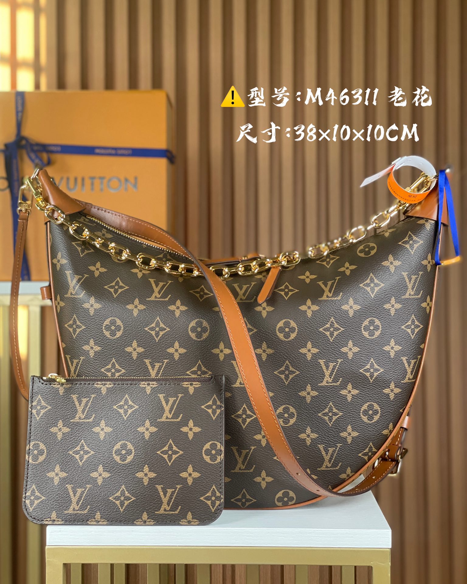 Louis Vuitton M46311 Monogram Canvas Loop Hobo Bag 
