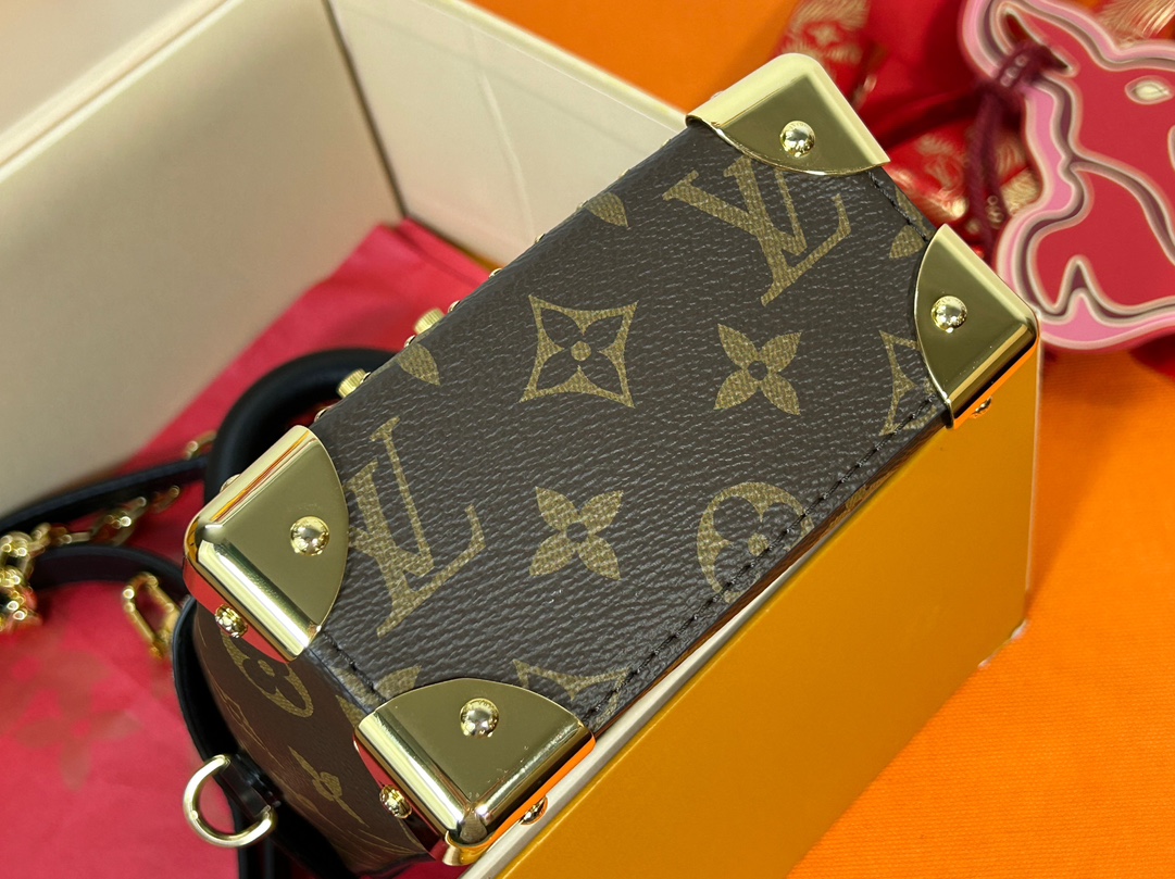 Louis Vuitton M82465 Camera Box