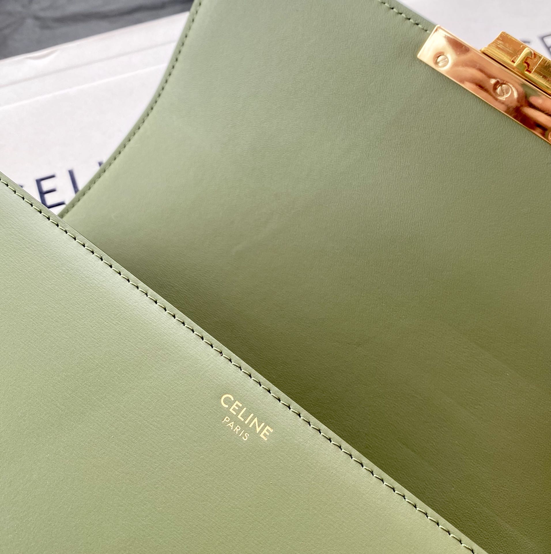 Original Copy Celine Medium Triomphe Bag in Shiny Calfskin Green