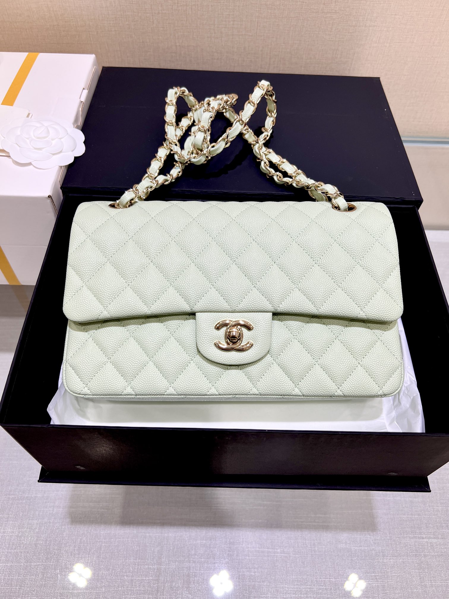 Upgraded Version Chanel CF 25cm With chip Caviar Cowhide Mint Green