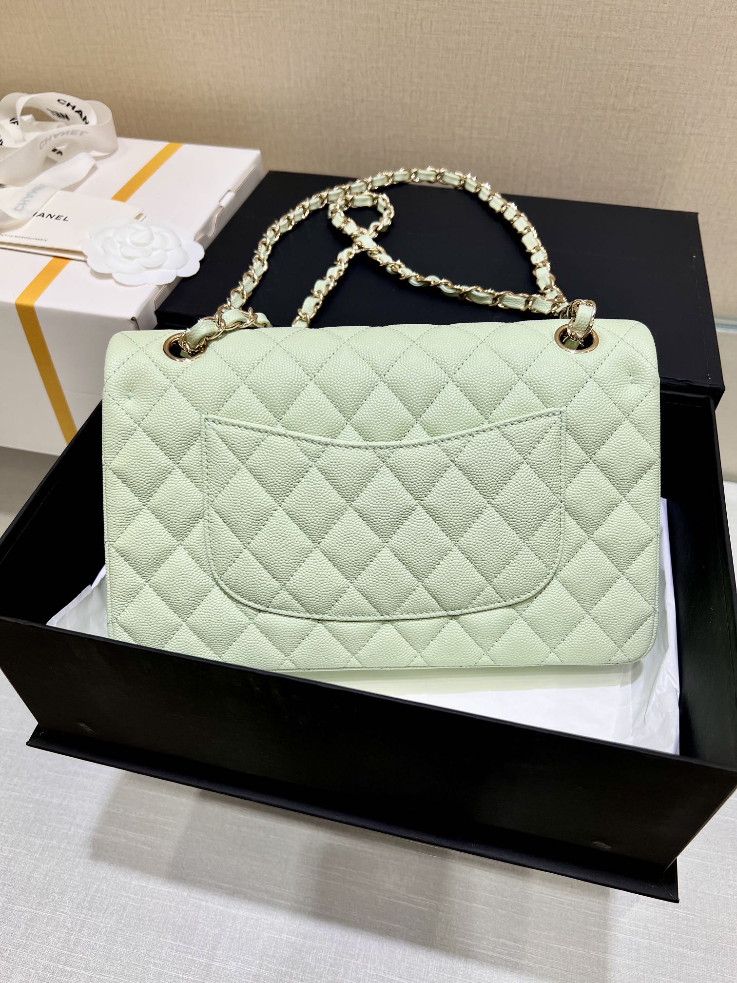 Upgraded Version Chanel CF 25cm With chip Caviar Cowhide Mint Green