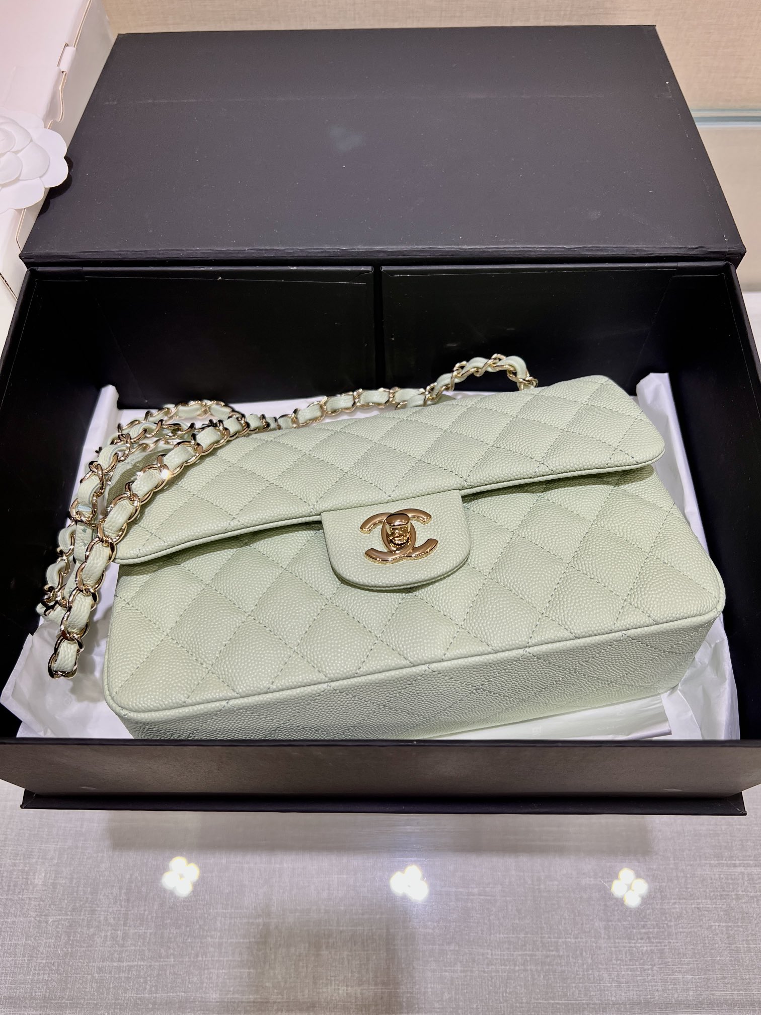 Upgraded Version Chanel CF 25cm With chip Caviar Cowhide Mint Green